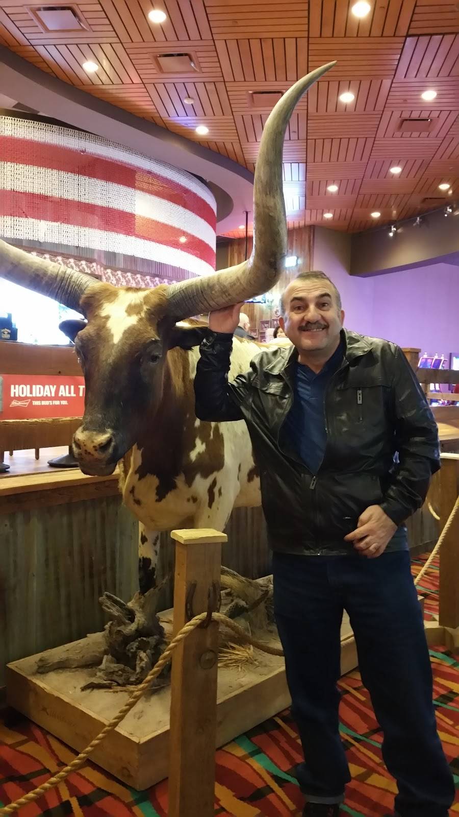 Pizza Hut | restaurant | 8254 Abrams Rd, Dallas, TX 75231, USA | 2143401155 OR +1 214-340-1155