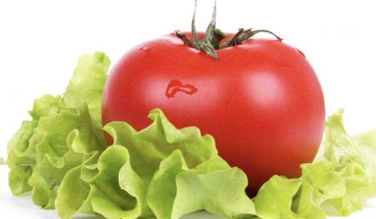 Fattes Pizza, Always Buy One Get One Free Pizza!! | restaurant | 39400 Murrieta Hot Springs Rd #108, Murrieta, CA 92563, USA | 9512405446 OR +1 951-240-5446