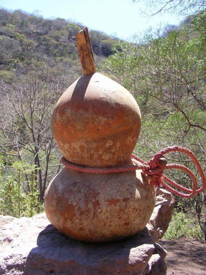 Pollos A La Brasa Betos | restaurant | 294 Bennington St, Boston, MA 02128, USA | 6175616005 OR +1 617-561-6005