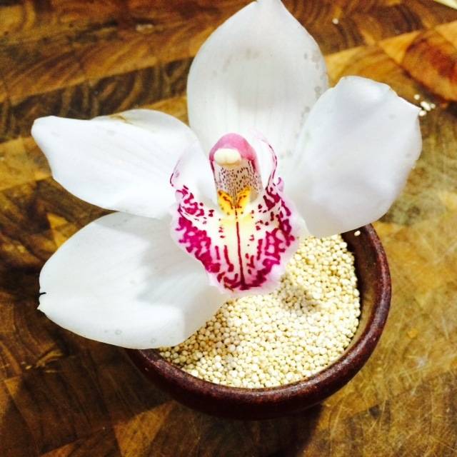 QUINOA CORNER | restaurant | 118 Curtiss Pkwy, Miami Springs, FL 33010, USA | 3054015282 OR +1 305-401-5282