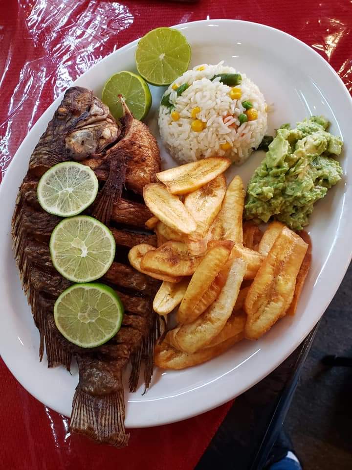 Rincon Catracho Restaurant | restaurant | 225 Main St, Wakefield, NE 68784, USA | 4022879052 OR +1 402-287-9052