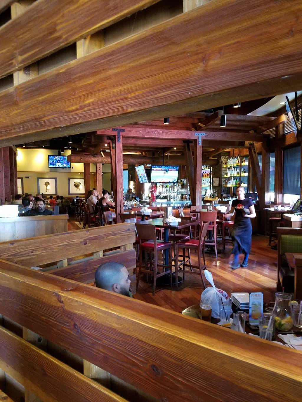 Lazy Dog Restaurant & Bar | restaurant | 3525 W Carson St, Torrance, CA 90503, USA | 3109216080 OR +1 310-921-6080