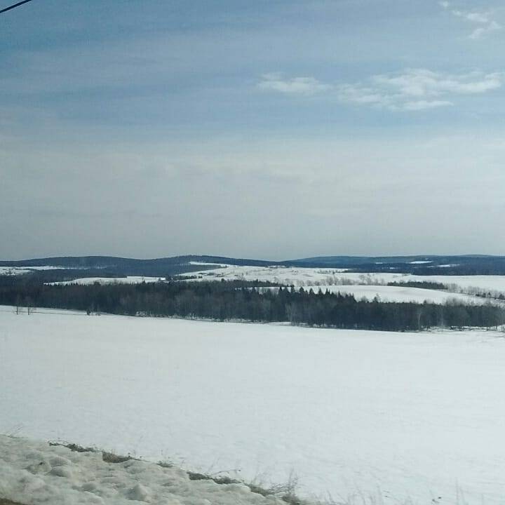 LErablière Du Mont St-Michel | restaurant | 2700 Bd des Bois-Francs S, Victoriaville, QC G6P 6S2, Canada | 8193575050 OR +1 819-357-5050