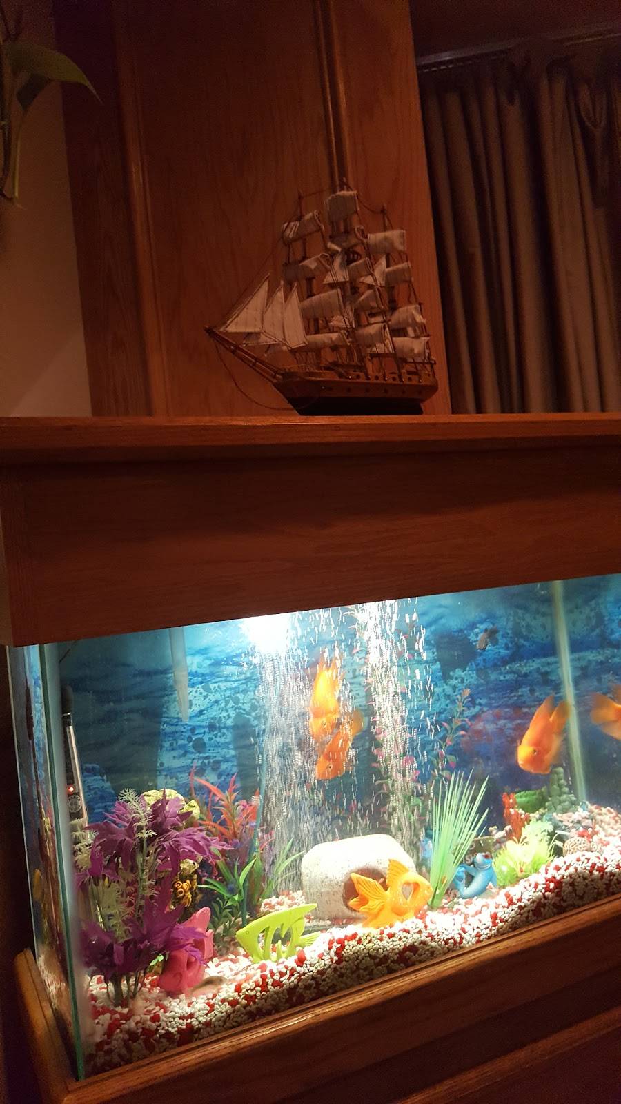 The Grand Restaurant & Tavern | restaurant | 104 E Emmitt Ave, Waverly, OH 45690, USA | 7409477930 OR +1 740-947-7930