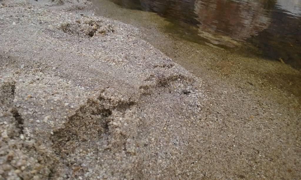 Subway | meal takeaway | 6878 E Sunrise Dr Suite 150, Tucson, AZ 85750, USA | 5205777713 OR +1 520-577-7713