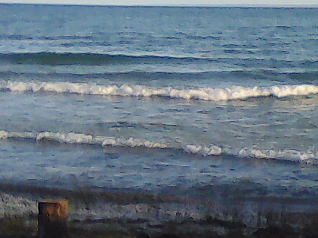 Island Diner | restaurant | Box 101 Hc 1, W Huron Dr, Bois Blanc Township, MI 49775, USA | 2316347375 OR +1 231-634-7375