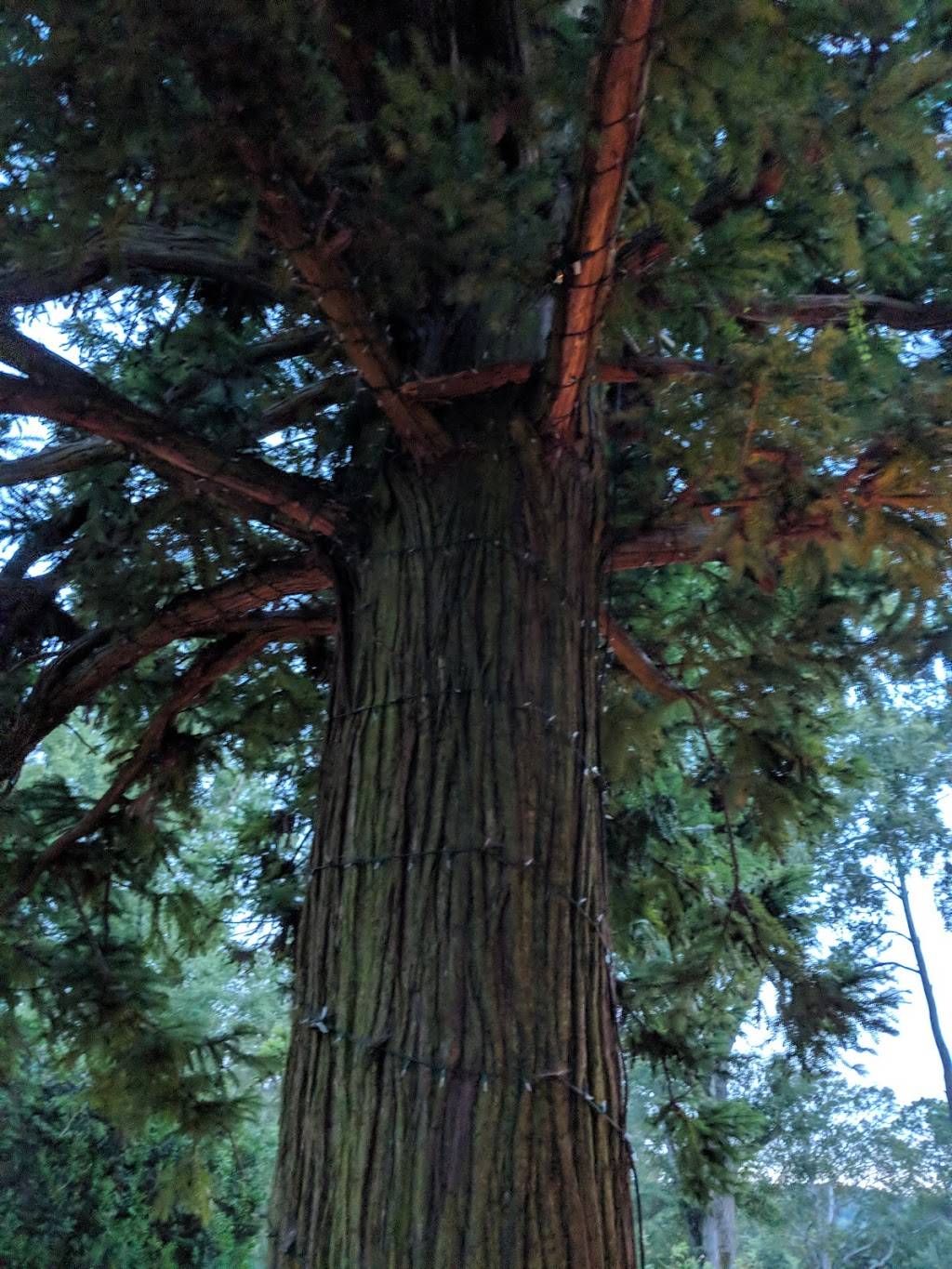 Rice House Restaurant | restaurant | 597 Barnsley Gardens Rd NW, Adairsville, GA 30103, USA | 7707737480 OR +1 770-773-7480