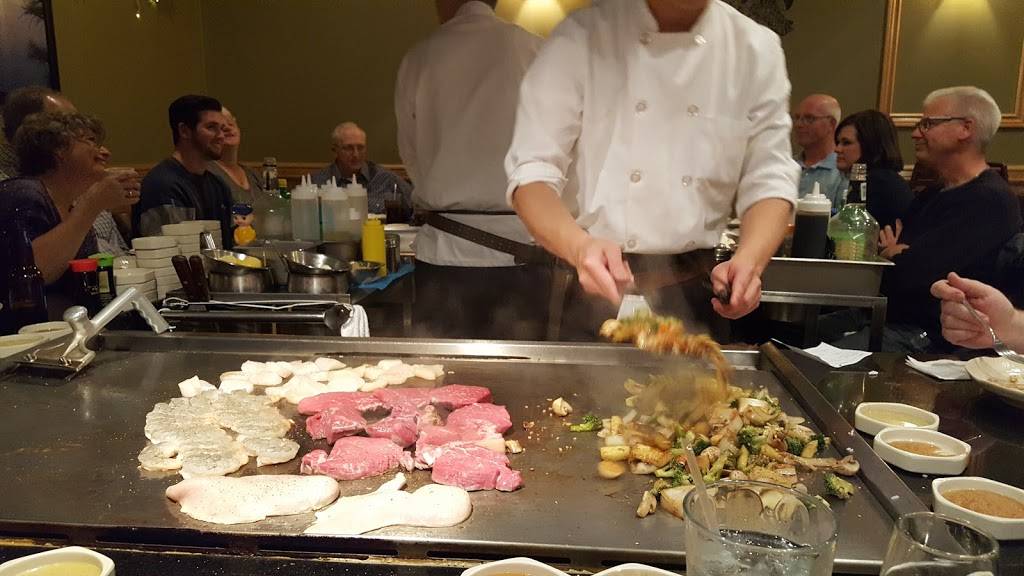 Mt Fuji Japanese Restaurant | restaurant | 830 County Rd 64, Elmira, NY 14903, USA | 6077398828 OR +1 607-739-8828