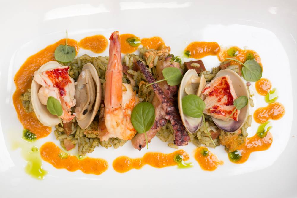 Toloache | restaurant | 205 Thompson St, New York, NY 10012, USA | 2124200600 OR +1 212-420-0600