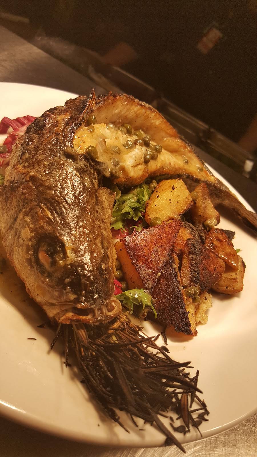 Ecco | restaurant | Concourse F, 6000 N Terminal Pkwy, Atlanta, GA 30320, USA | 4043479555 OR +1 404-347-9555