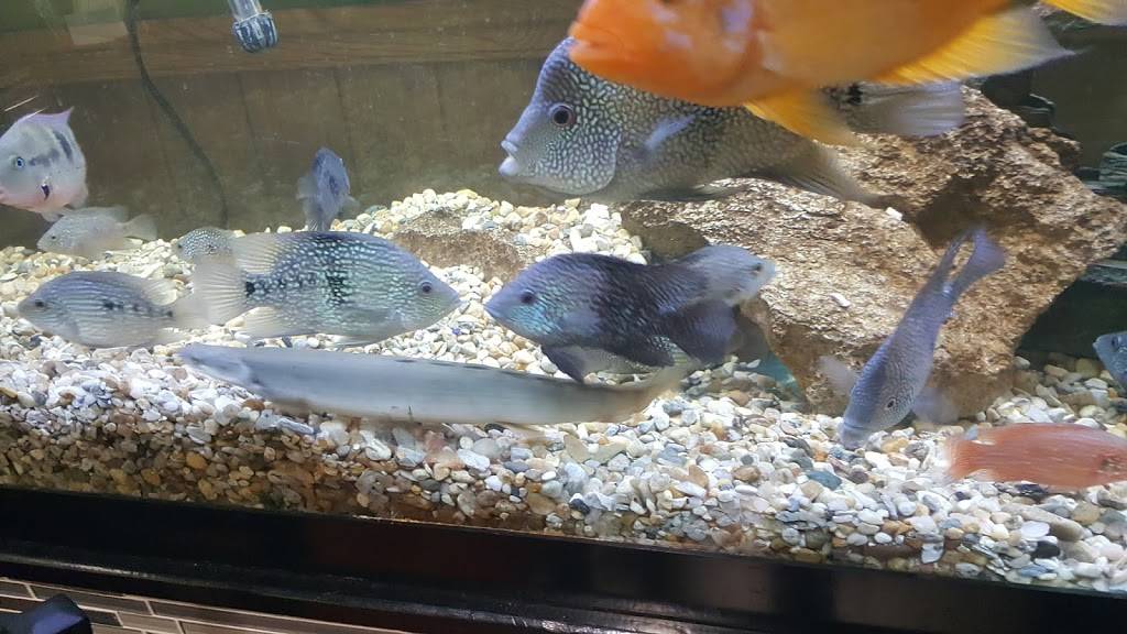 Sushi Time | restaurant | 2359 Millersport Hwy #1221, Getzville, NY 14068, USA | 7169327357 OR +1 716-932-7357