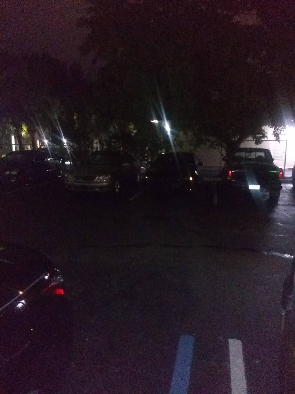 Young`s Jamaican Restaurant | restaurant | 17325 NW 27th Ave #104, Miami Gardens, FL 33056, USA | 3059280558 OR +1 305-928-0558