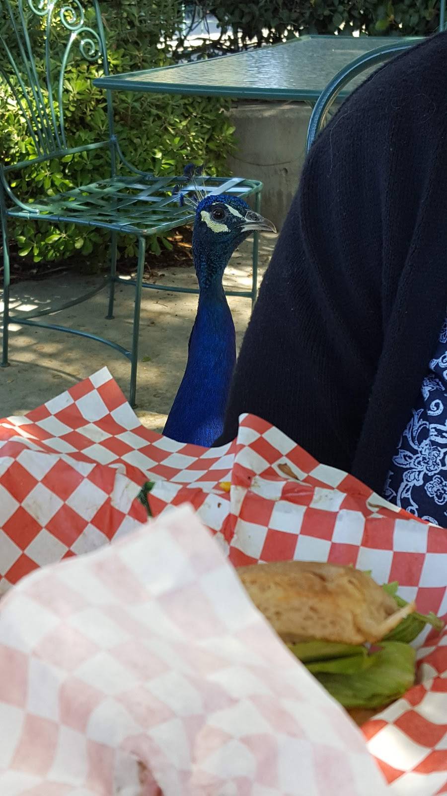 Mustangs in the Garden | restaurant | 301 N Baldwin Ave, Arcadia, CA 91007, USA | 6268213237 OR +1 626-821-3237