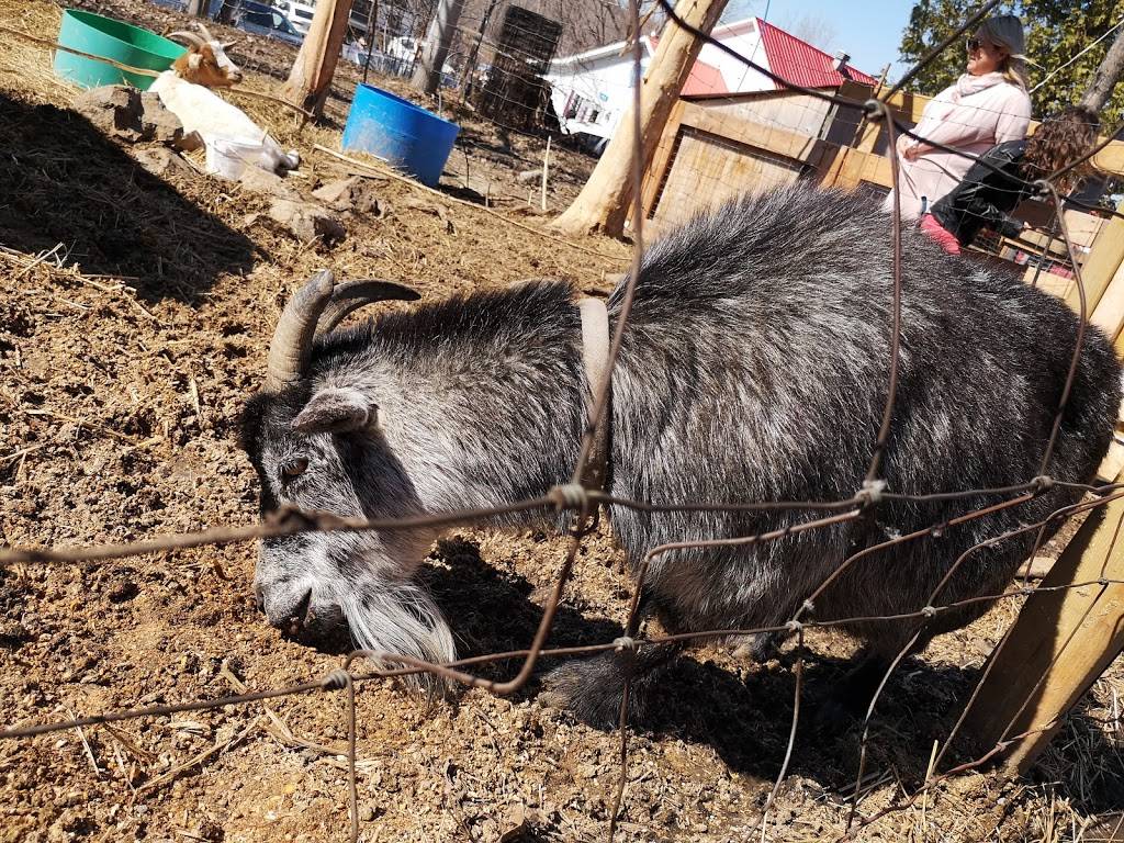 Sucrerie la Marinière | restaurant | 515 Rang de lAnnonciation, Oka, QC J0N 1E0, Canada | 4504791062 OR +1 450-479-1062