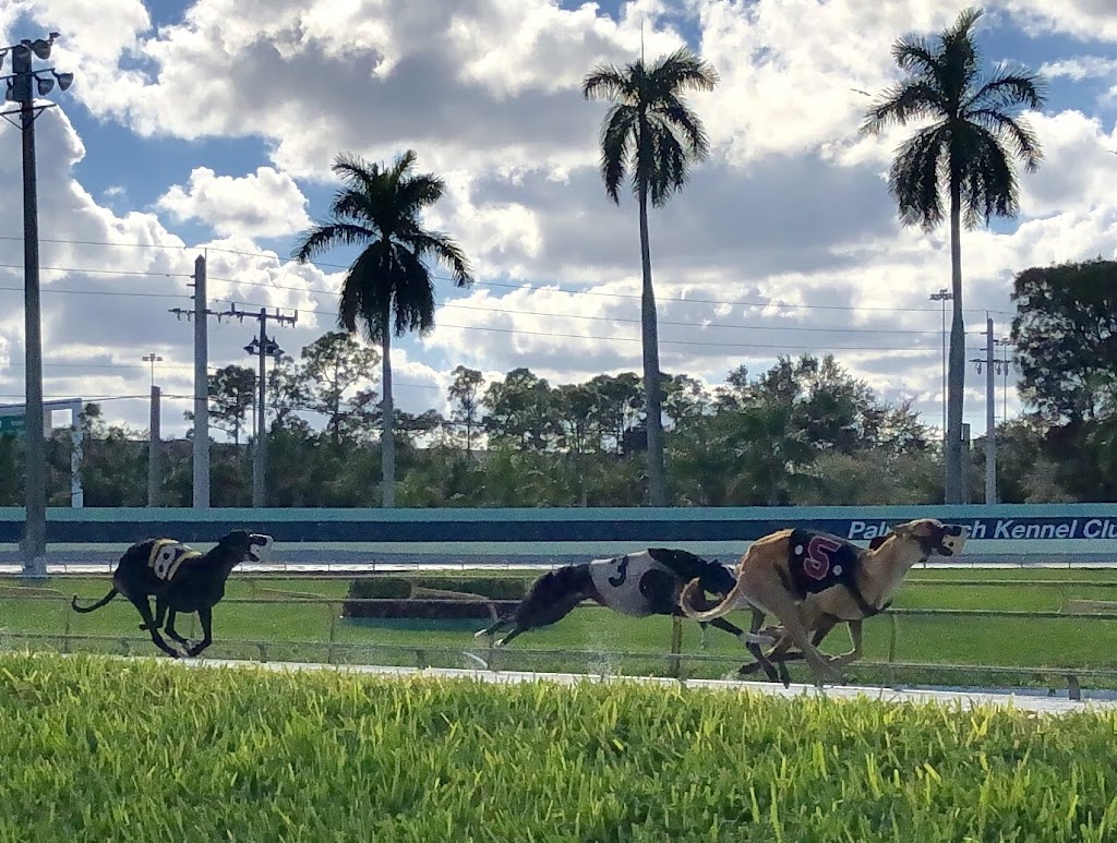 PBKC | restaurant | 1111 N Congress Ave, West Palm Beach, FL 33409, USA | 5616832222 OR +1 561-683-2222