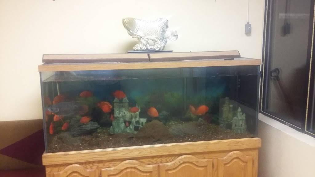 Rotasu Hibachi (was Sakura Broadway) | meal delivery | 5855 Broadway Ave, Cleveland, OH 44127, USA | 2166418888 OR +1 216-641-8888