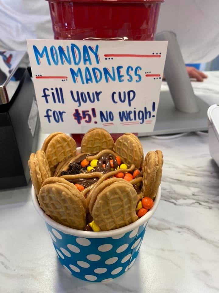 Frozen Ropes Yogurt | restaurant | 875 E 9 Mile Rd #12, Pensacola, FL 32514, USA | 8503326100 OR +1 850-332-6100