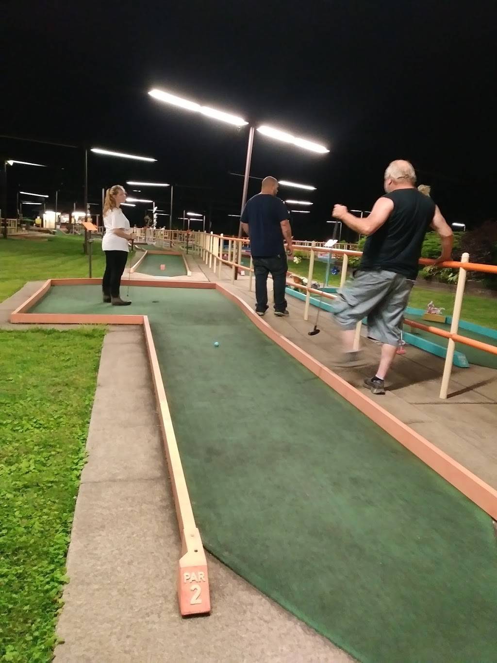 Putt-Putt Fun Center of Warren | meal takeaway | 3937 Youngstown Rd SE, Warren, OH 44484, USA | 3303691965 OR +1 330-369-1965