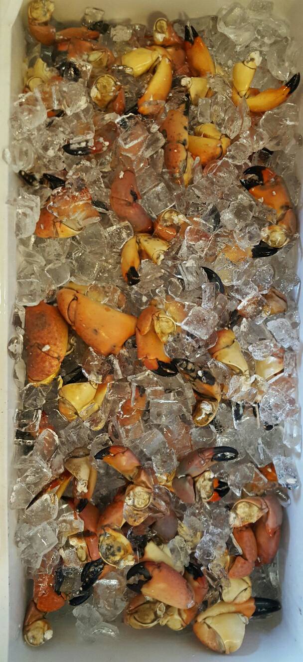 Cypress Point Store ???? | restaurant | 904 St Johns Ave, Palatka, FL 32177, USA | 3863263842 OR +1 386-326-3842