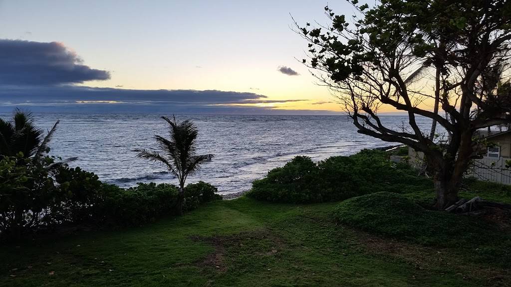 Hauula BBQ Restaurant | restaurant | 54-295 Kamehameha Hwy, Hauula, HI 96717, USA | 8082938404 OR +1 808-293-8404