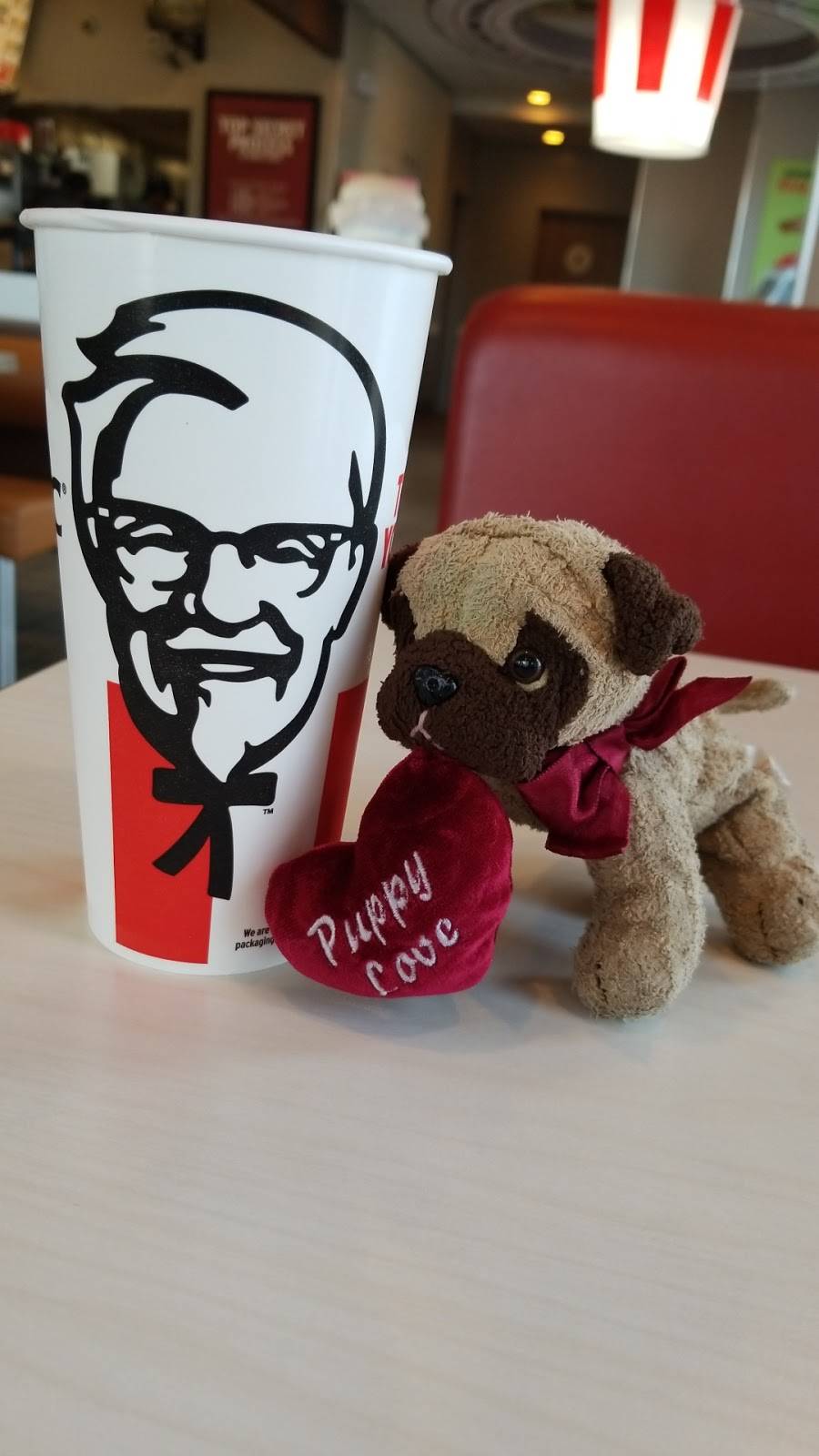 KFC | restaurant | 351 E W Channel Islands Blvd, Port Hueneme, CA 93041, USA | 8059856661 OR +1 805-985-6661