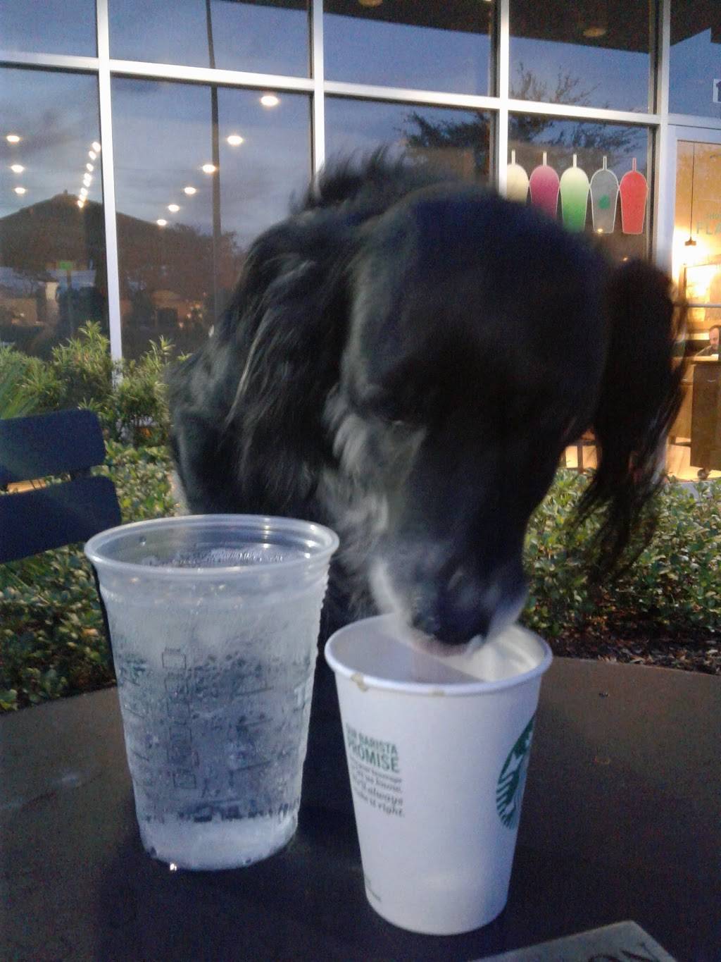 Starbucks | cafe | 599 S Chickasaw Trail, Orlando, FL 32825, USA | 4072823918 OR +1 407-282-3918