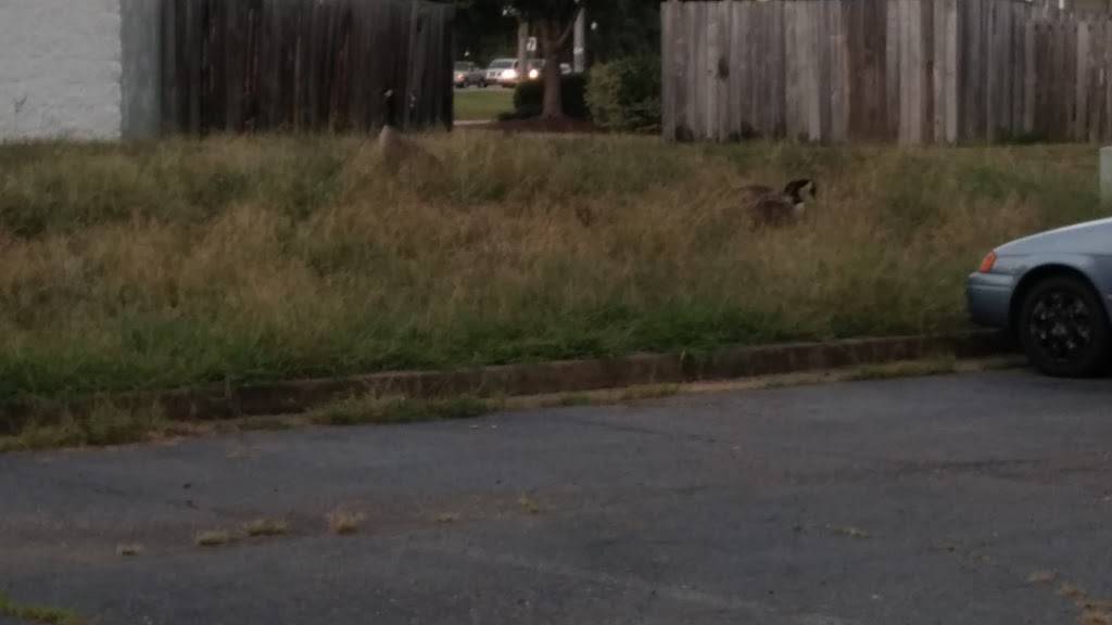 Pizza Hut | restaurant | 13611 Genito Rd, Midlothian, VA 23112, USA | 8047446666 OR +1 804-744-6666