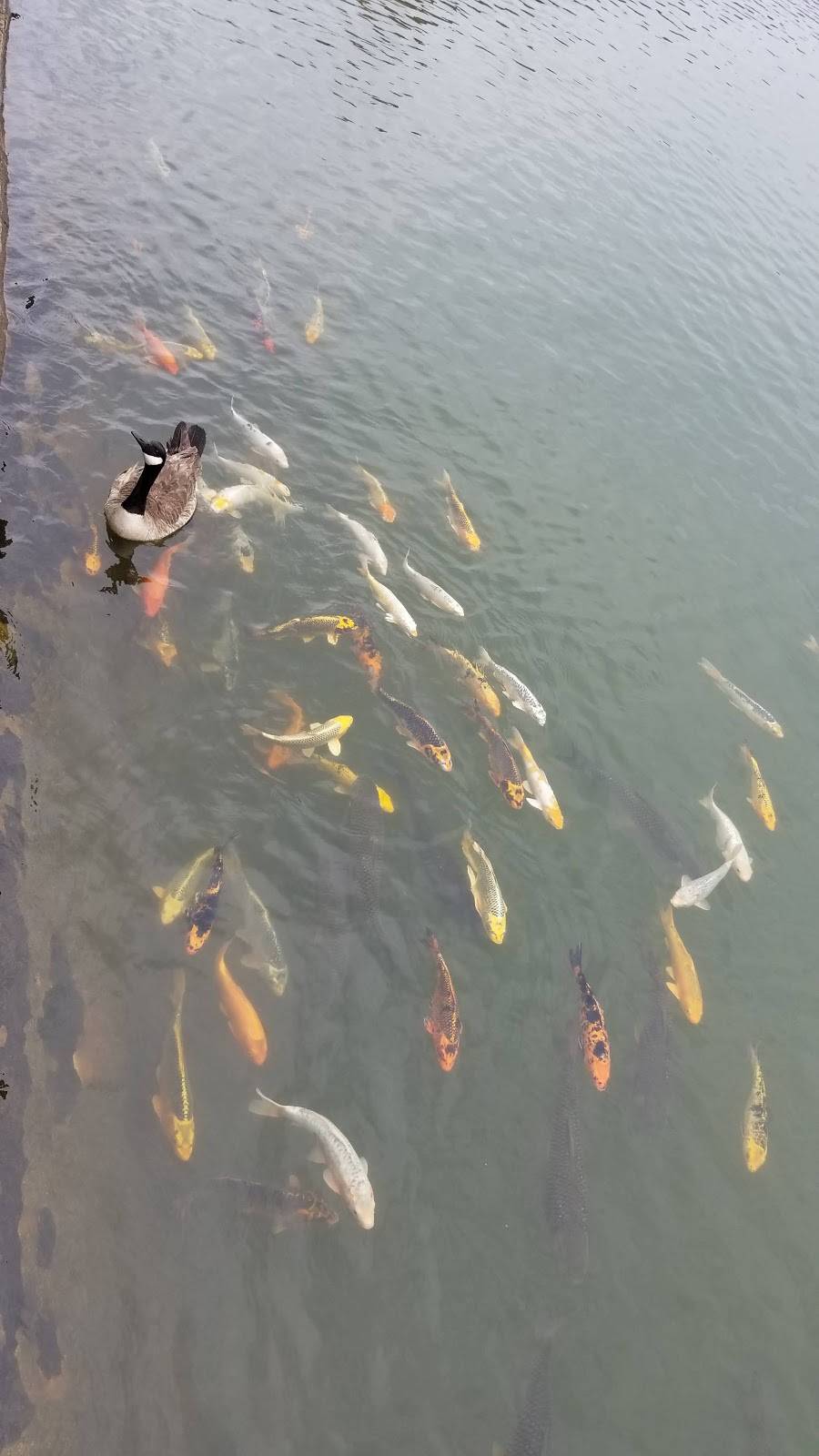 Drayton Mills Marketplace | cafe | 1802 Drayton Rd, Spartanburg, SC 29307, USA | 8645730092 OR +1 864-573-0092