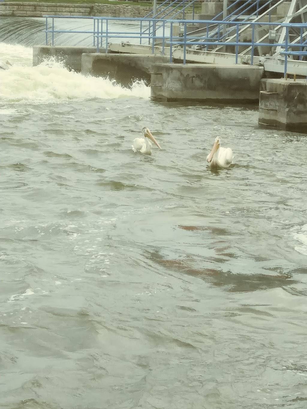 Club Tavern | restaurant | 56 Racine St, Menasha, WI 54952, USA | 9207222452 OR +1 920-722-2452