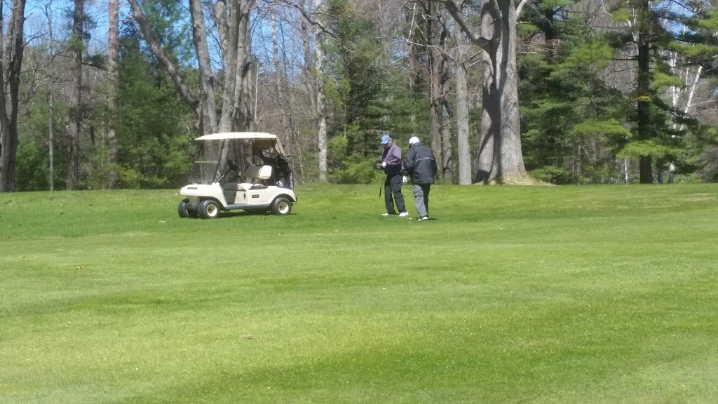 Indian River Golf Club | restaurant | 3301 Chippewa Beach Rd, Indian River, MI 49749, USA | 2312387011 OR +1 231-238-7011