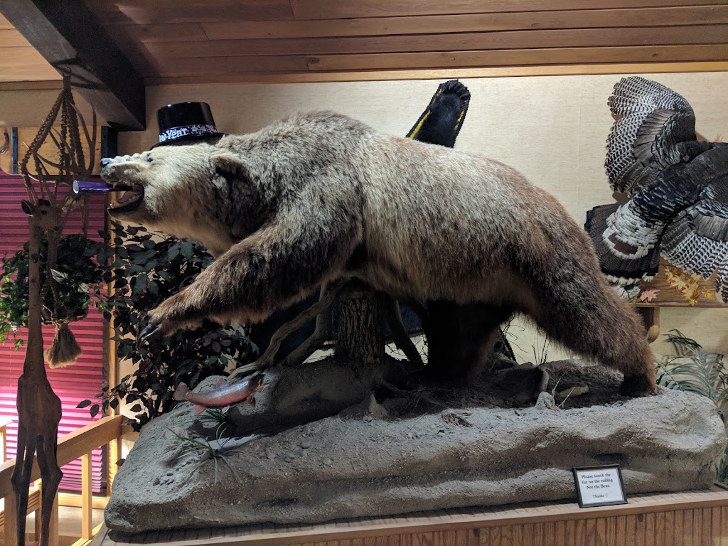 Safari Club | restaurant | 115 E Park St, Thermopolis, WY 82443, USA | 3078643131 OR +1 307-864-3131