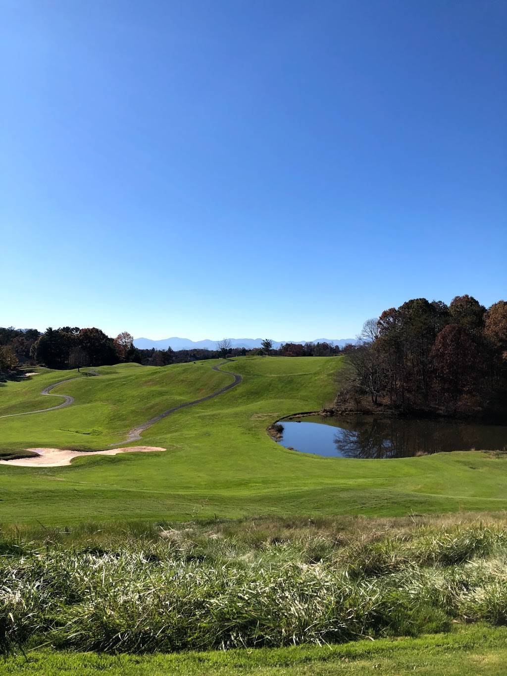 Reems Creek Golf Club | restaurant | 36 Pink Fox Cove Rd, Weaverville, NC 28787, USA | 8286454393 OR +1 828-645-4393