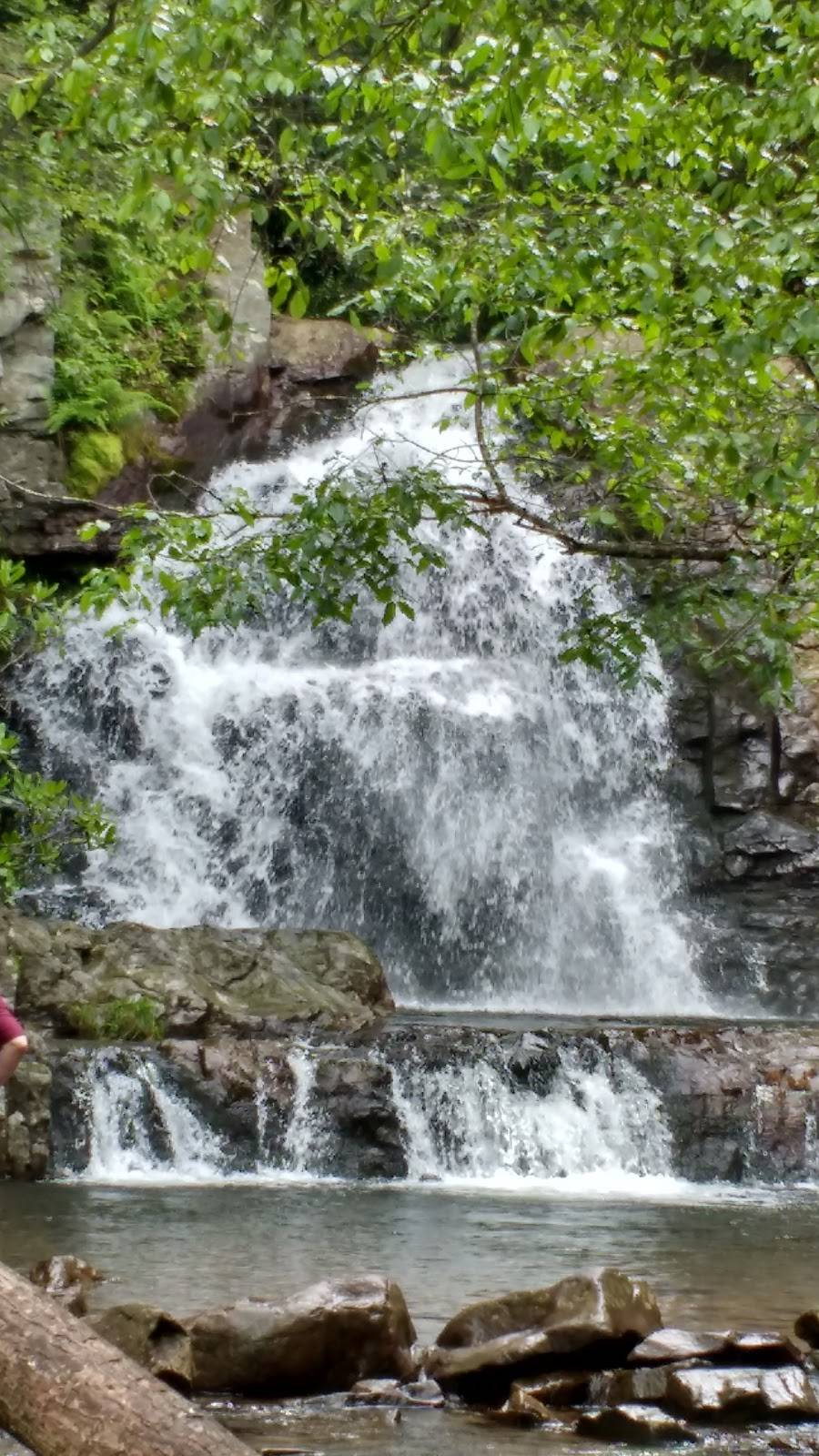 Hickory Run Service Plaza | restaurant | Pennsylvania Turnpike Milepost 86.1, Jim Thorpe, PA 18229, USA | 5705657010 OR +1 570-565-7010