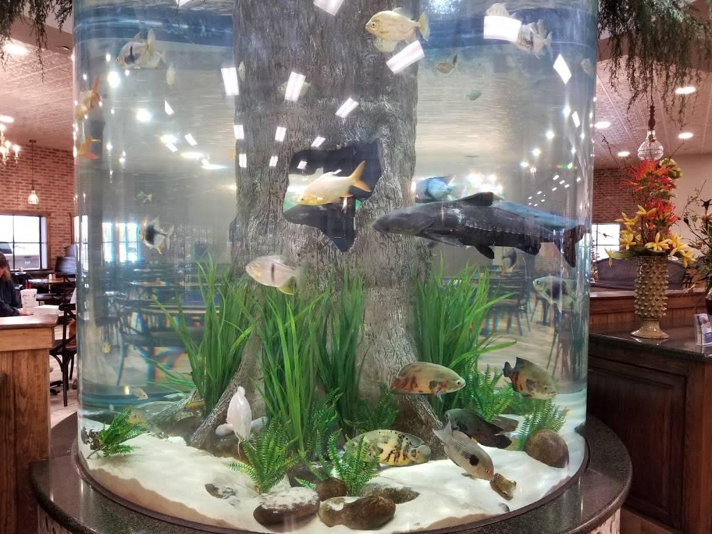 Praseks Hillje Smokehouse | restaurant | 2949 Interstate 10 Frontage Rd, Sealy, TX 77474, USA | 9796276027 OR +1 979-627-6027