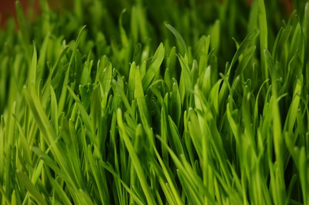 Jans Health Bar | meal takeaway | 250 E 17th St D, Costa Mesa, CA 92627, USA | 9496504856 OR +1 949-650-4856