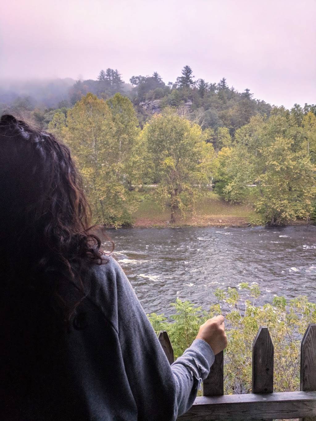 Two River Junction | restaurant | 106 Scenic Dr, Lackawaxen, PA 18435, USA | 5706851350 OR +1 570-685-1350