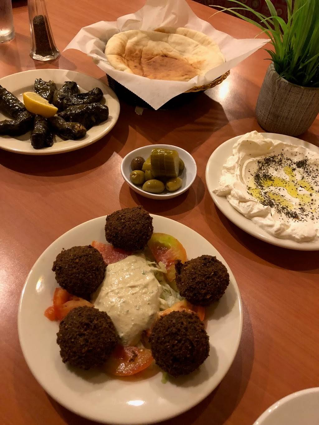 Flame Kabob | restaurant | 5415, 7536 Dr Phillips Blvd, Orlando, FL 32819, USA | 4072482280 OR +1 407-248-2280