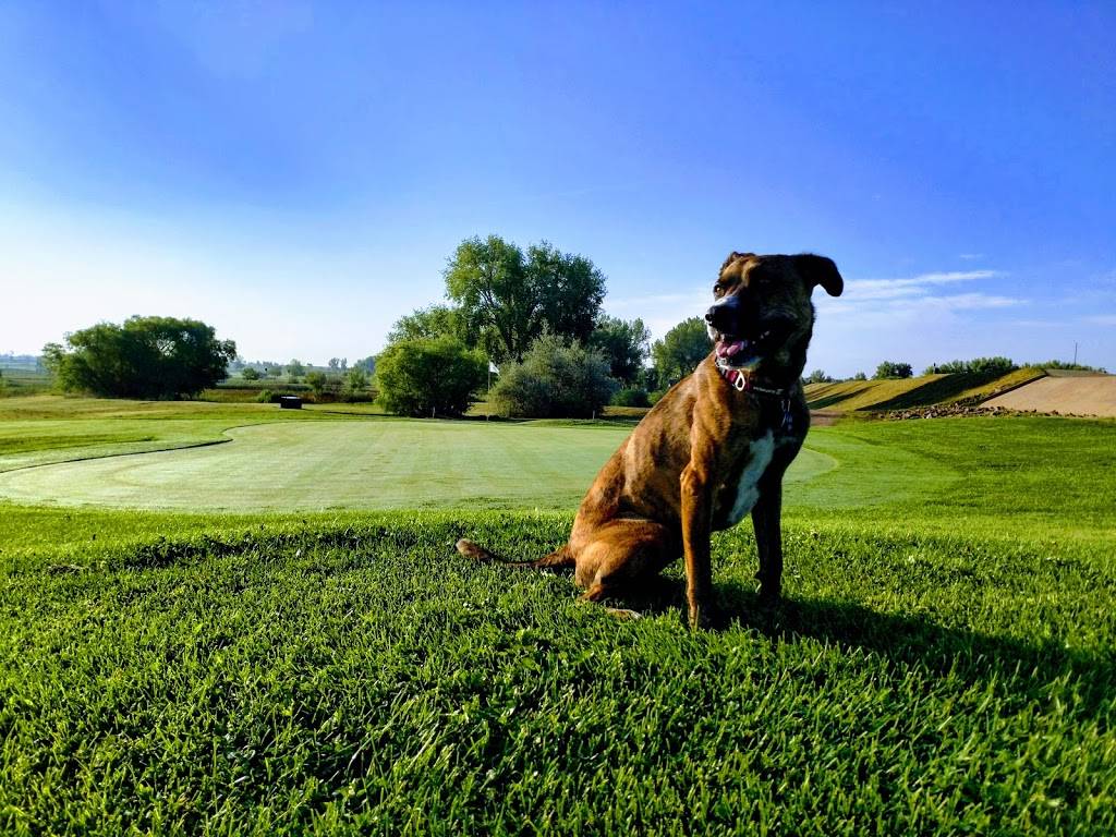 Bella Rosa Golf Course | restaurant | 5830 Bella Rosa Pkwy, Longmont, CO 80504, USA | 3036782940 OR +1 303-678-2940