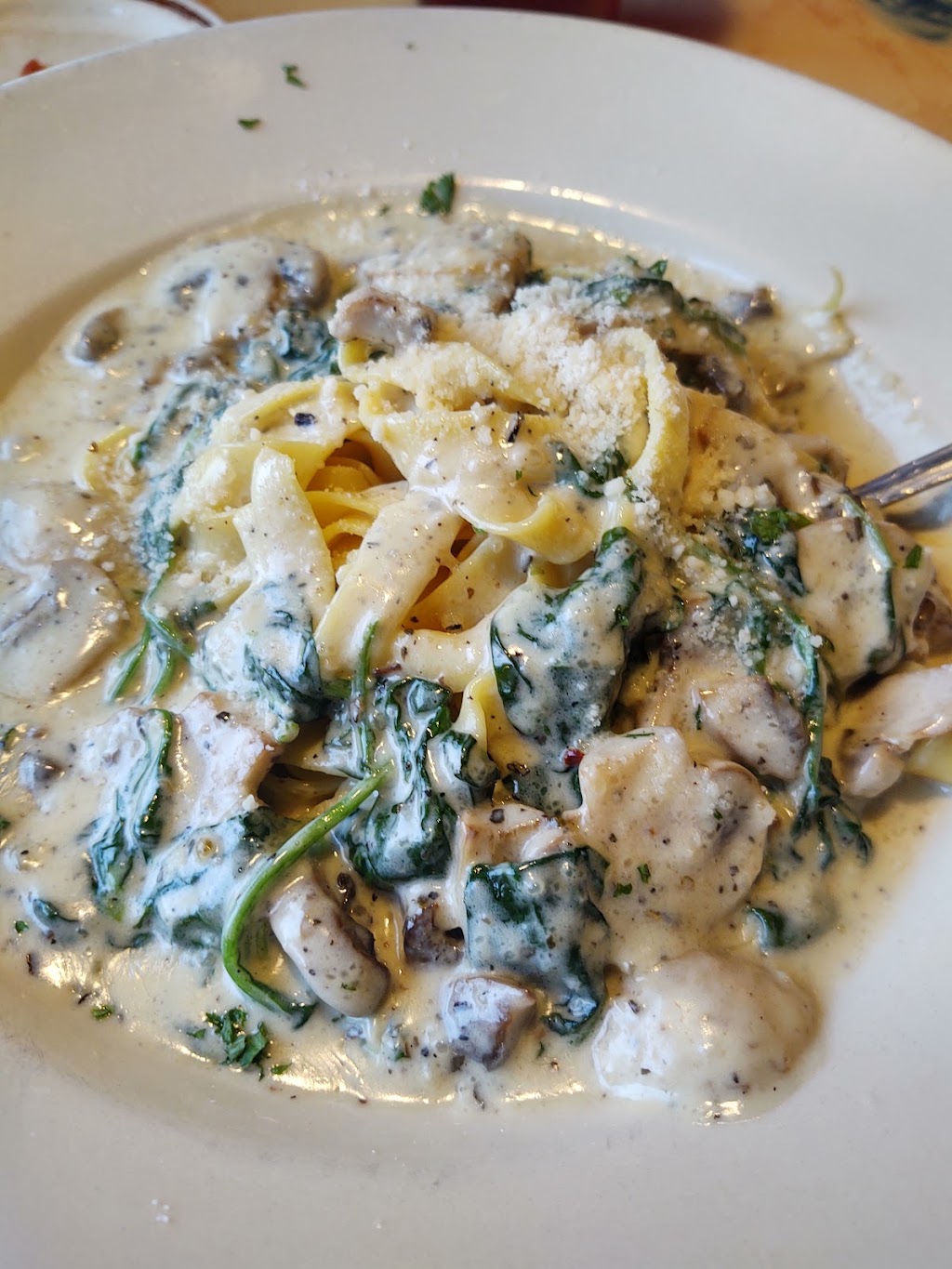 Venezias | Pizza & Pasta | restaurant | 1321 E Main St, Russellville, AR 72801, USA | 4799682588 OR +1 479-968-2588