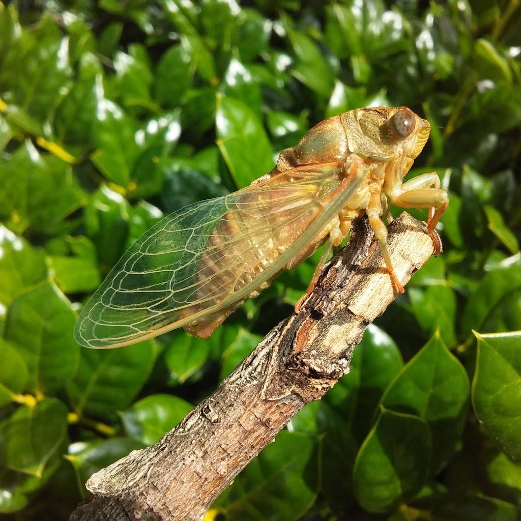 Logans Roadhouse | restaurant | 3112 Browns Mill Rd, Johnson City, TN 37604, USA | 4239151122 OR +1 423-915-1122