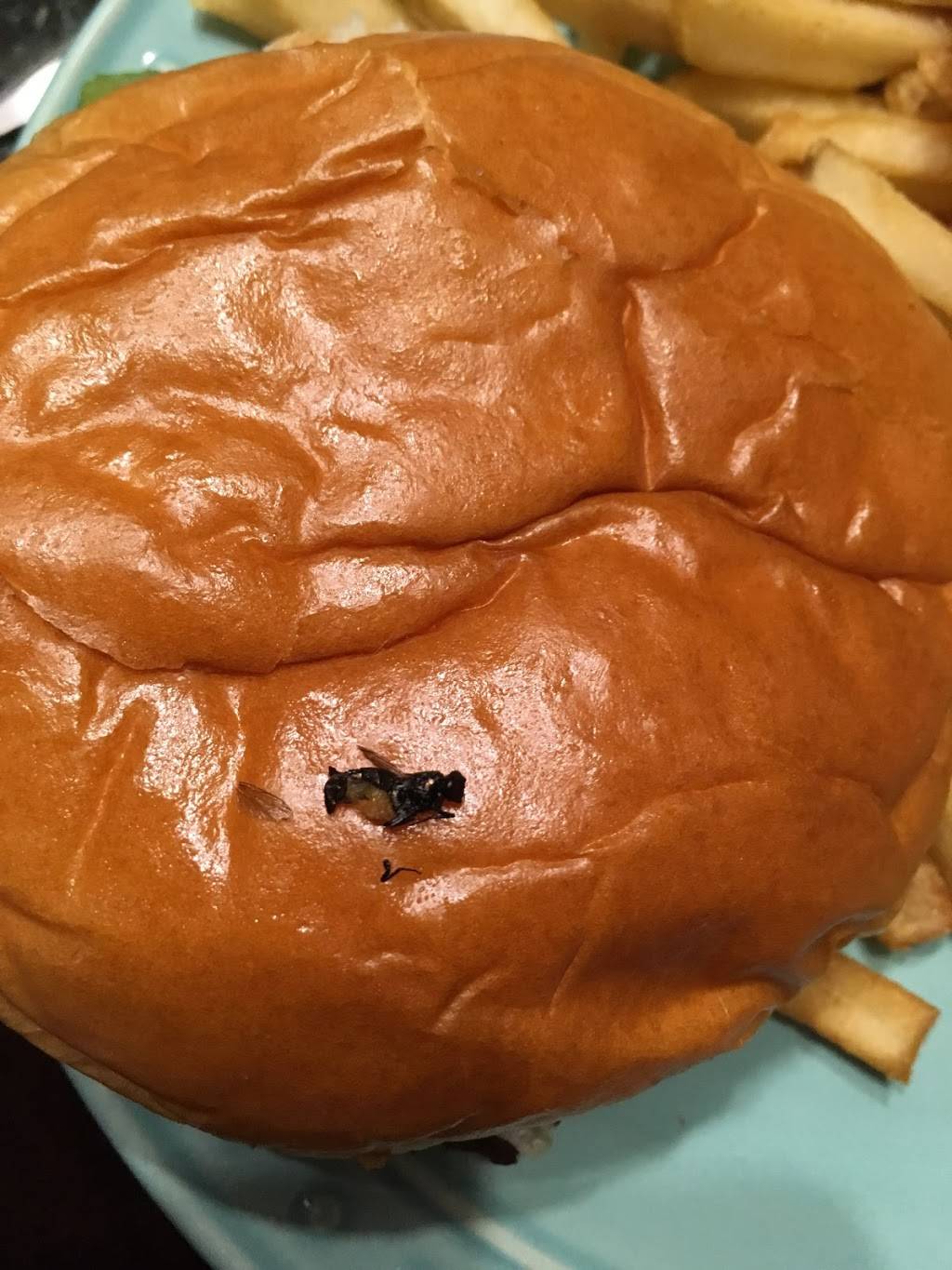 Wendys | restaurant | 11303 White Bluff Rd, Savannah, GA 31419, USA | 9123357168 OR +1 912-335-7168