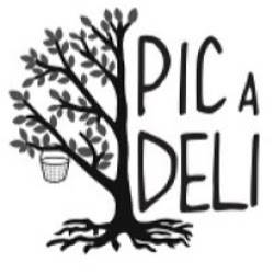 Pic-A-Deli | restaurant | 1500 Douglas Dr Suite D, Plymouth, WI 53073, USA | 9208924858 OR +1 920-892-4858