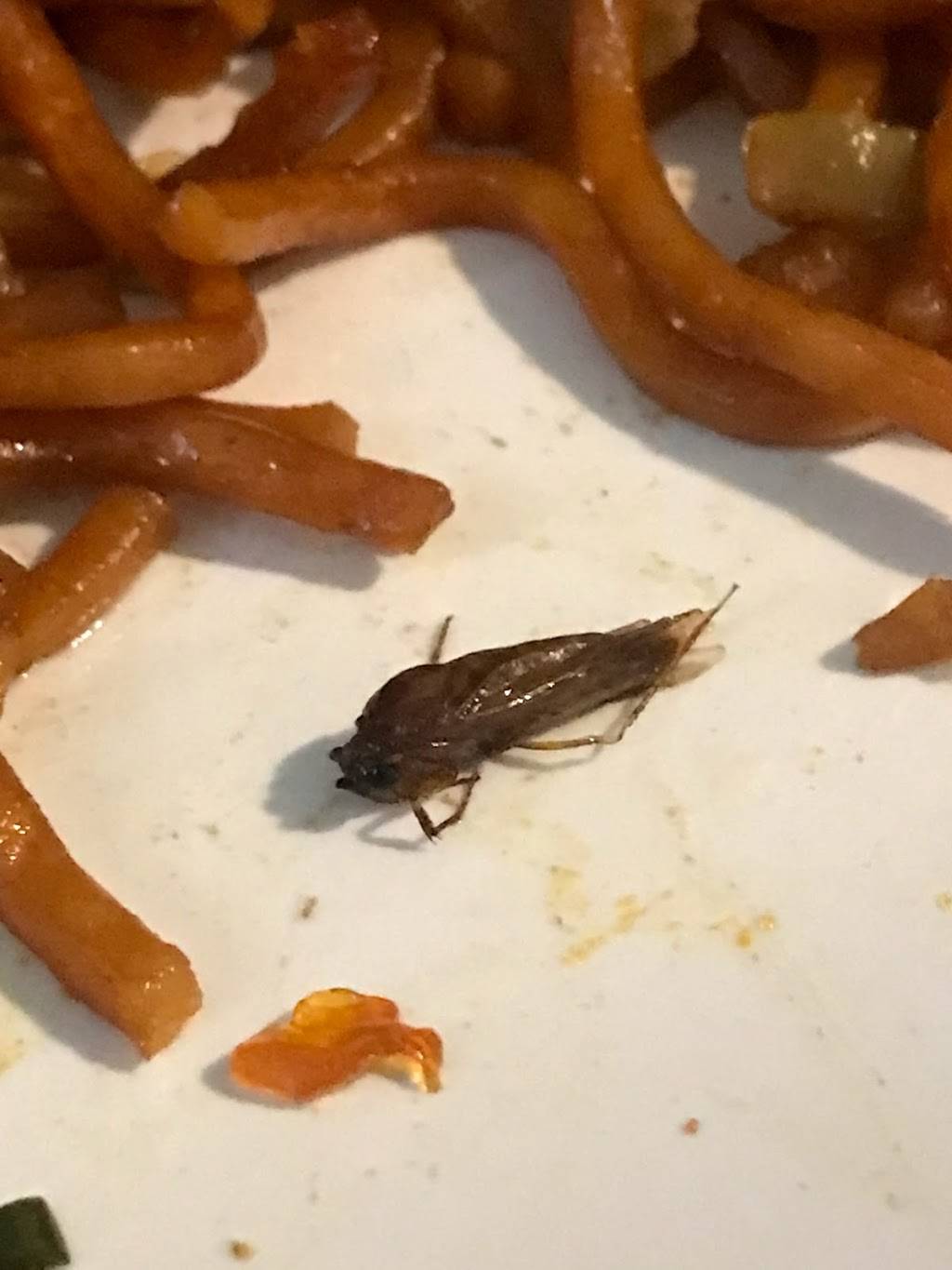 L A Express | restaurant | 1610 Lemon St, Anaheim, CA 92801, USA | 7144410888 OR +1 714-441-0888