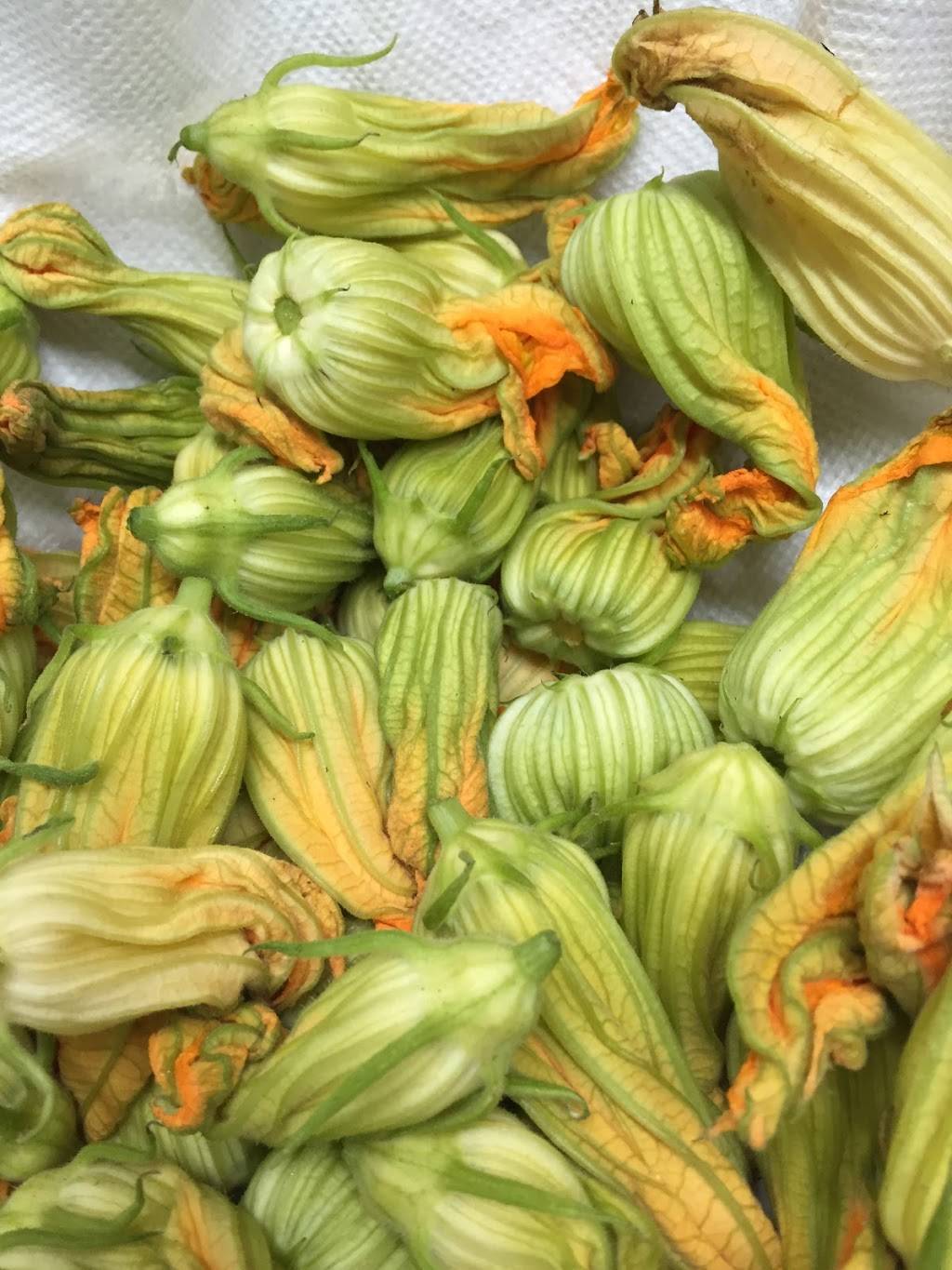 Sazon Mexican Cuisine | restaurant | 2361 W Rappel Ave, Bloomington, IN 47404, USA | 8129558517 OR +1 812-955-8517