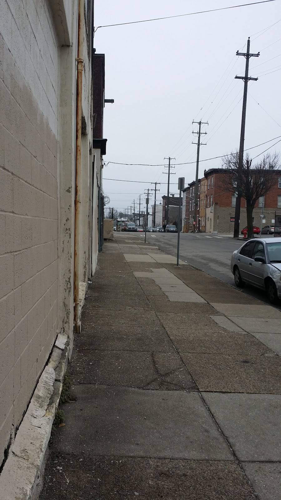 Otolith Sustainable Seafood | restaurant | 2133 E Huntingdon St, Philadelphia, PA 19125, USA | 2154264266 OR +1 215-426-4266