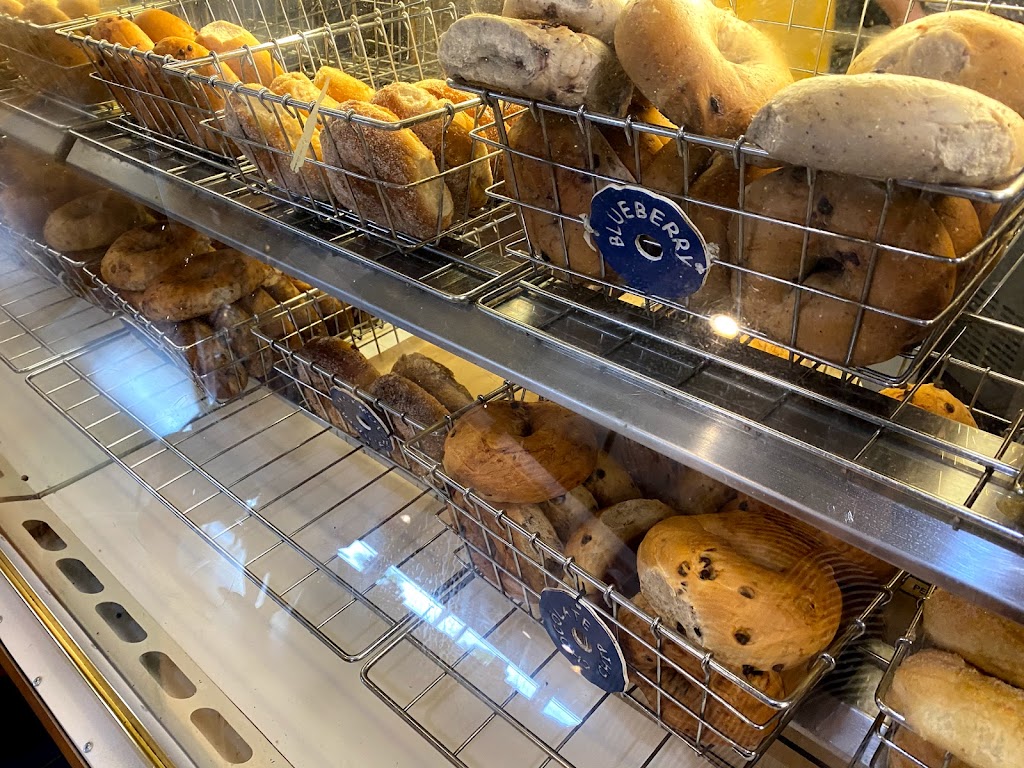 Bagelheads | bakery | 916 E Gregory St, Pensacola, FL 32502, USA | 8504449661 OR +1 850-444-9661