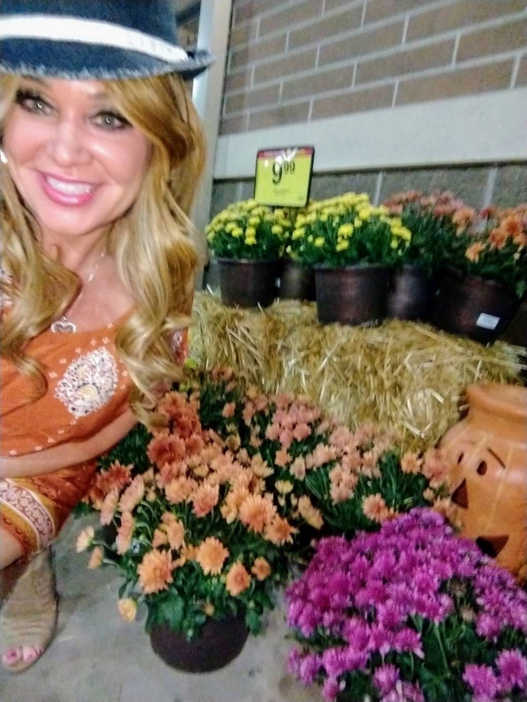 Arbys | restaurant | 7990 Wadsworth Blvd, Arvada, CO 80003, USA | 3034320073 OR +1 303-432-0073