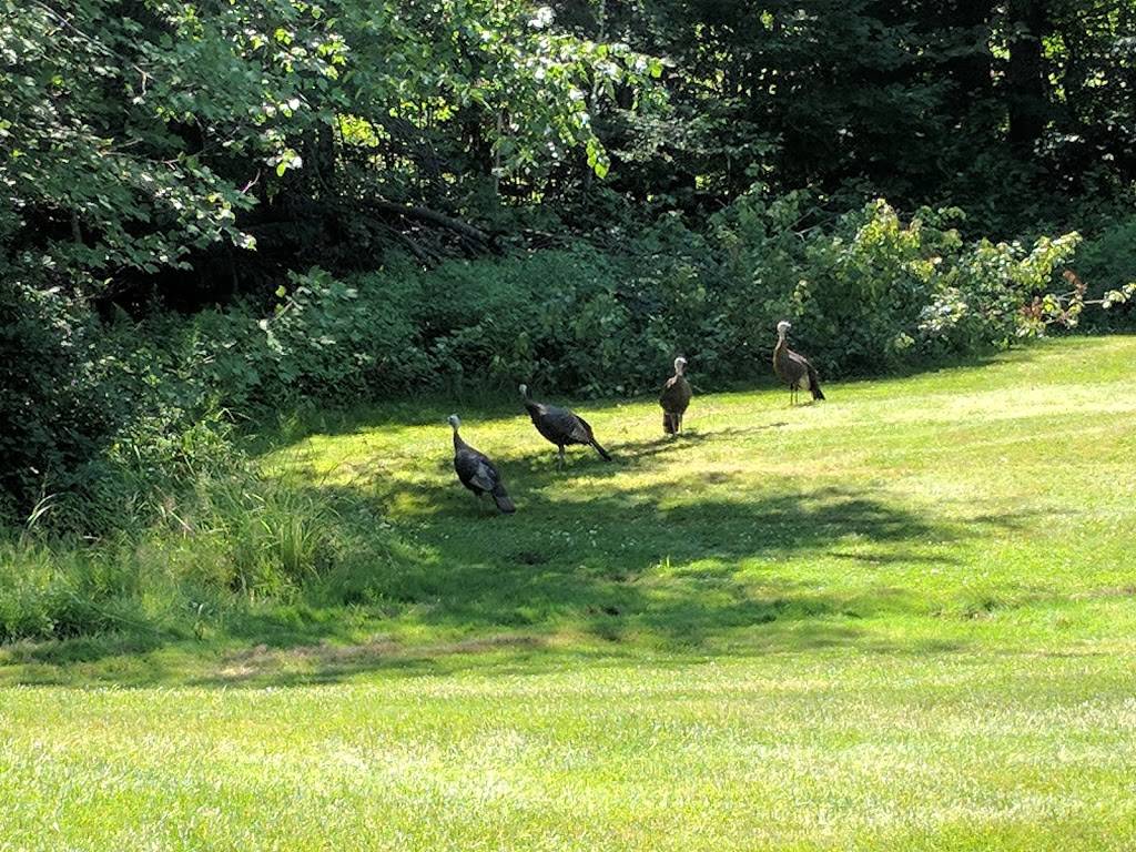 Crotched Mountain Golf Club | restaurant | 740 2nd New Hampshire Turnpike N, Francestown, NH 03043, USA | 6035882923 OR +1 603-588-2923