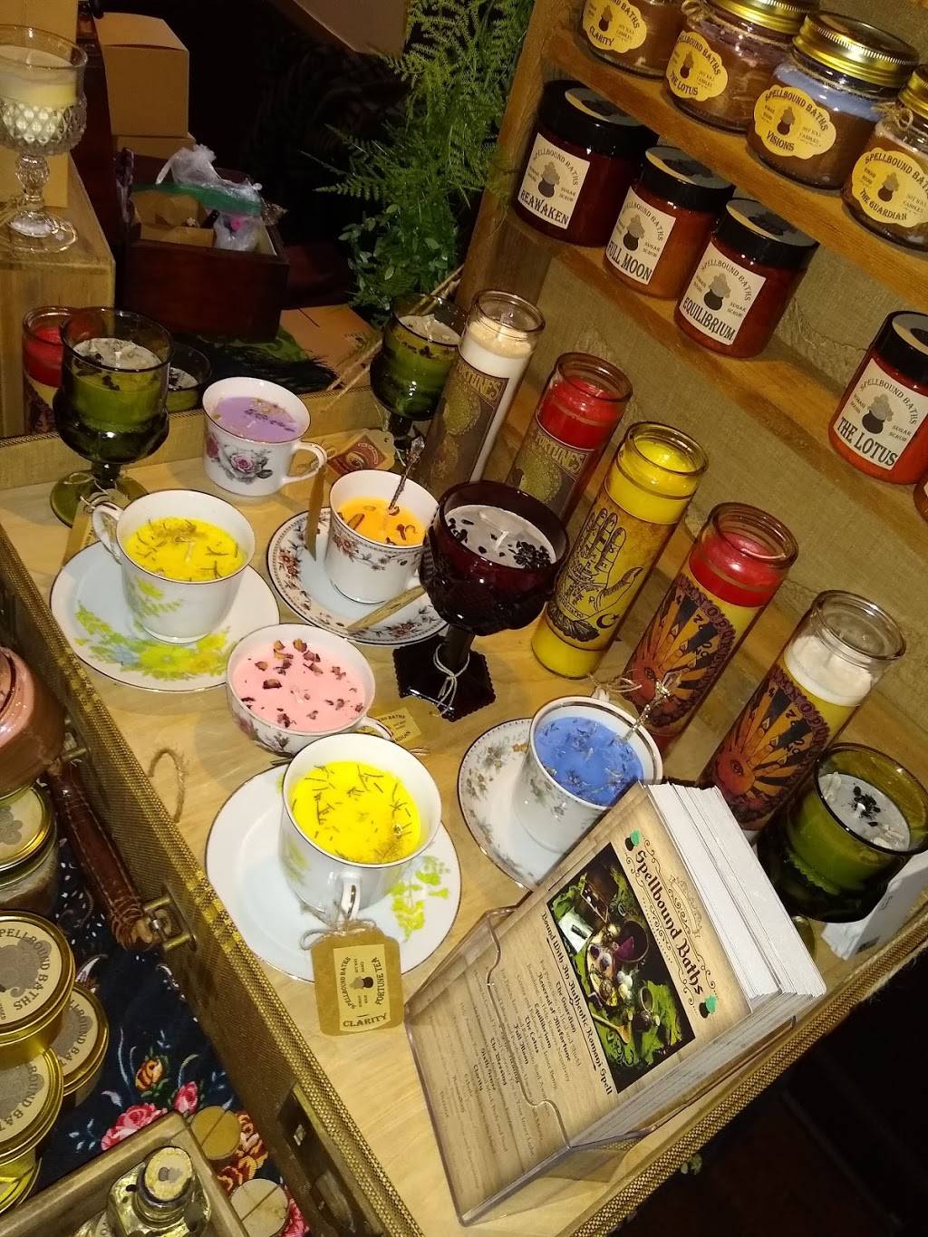 The Reveler | restaurant | 3403 N Damen Ave, Chicago, IL 60618, USA | 7732489523 OR +1 773-248-9523