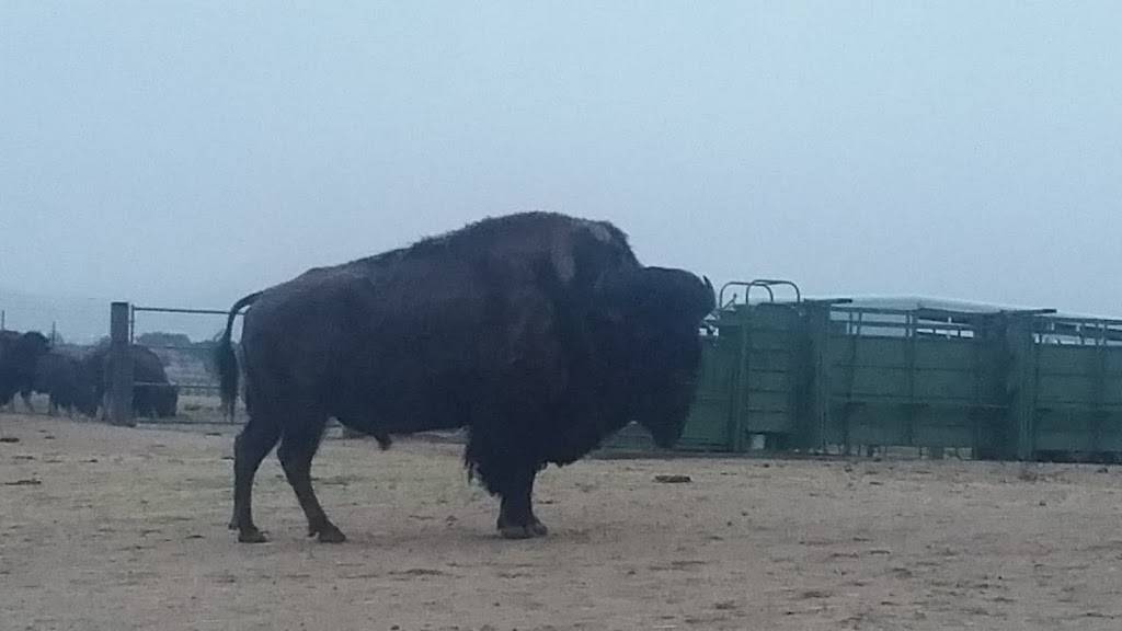 Subway | meal takeaway | 100 Bien Mur Dr NE, Albuquerque, NM 87113, USA | 5058215400 OR +1 505-821-5400